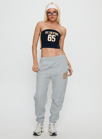 UC Irvine Basic Sweatpants Grey