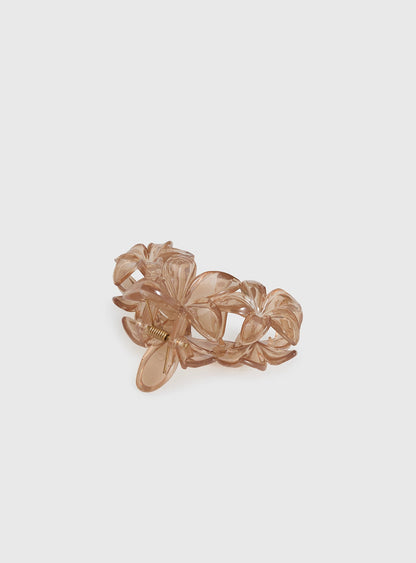 Radiant Beam Floral Hair Clip Brown