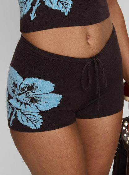 Surfer Girl Knit Shorts Brown / Blue
