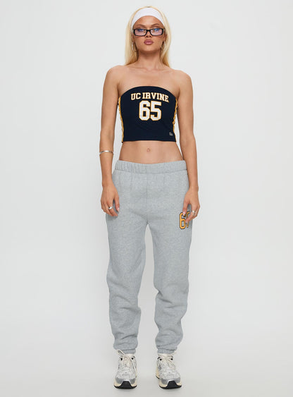 UC Irvine Basic Sweatpants Grey